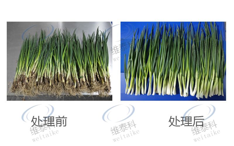 c225c9c67a7c5f15b0aa7cbe14e5e62d