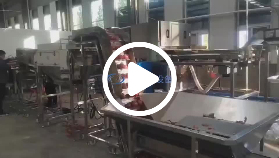 68d34c0a5450599db8ad7ec777bc6368_0_b