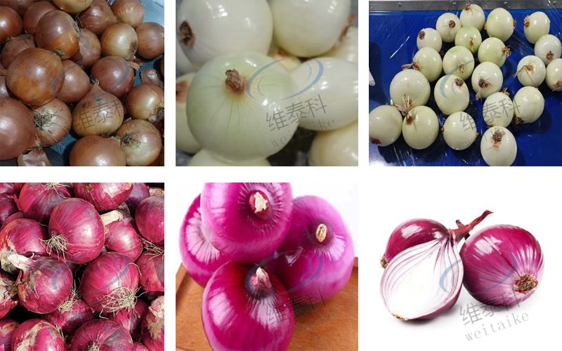 e31a85208d227ba771a653d3bf6125c3