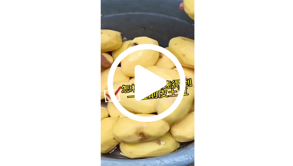 68d34c0a5441512ff717b3a8c62081a4_0_b