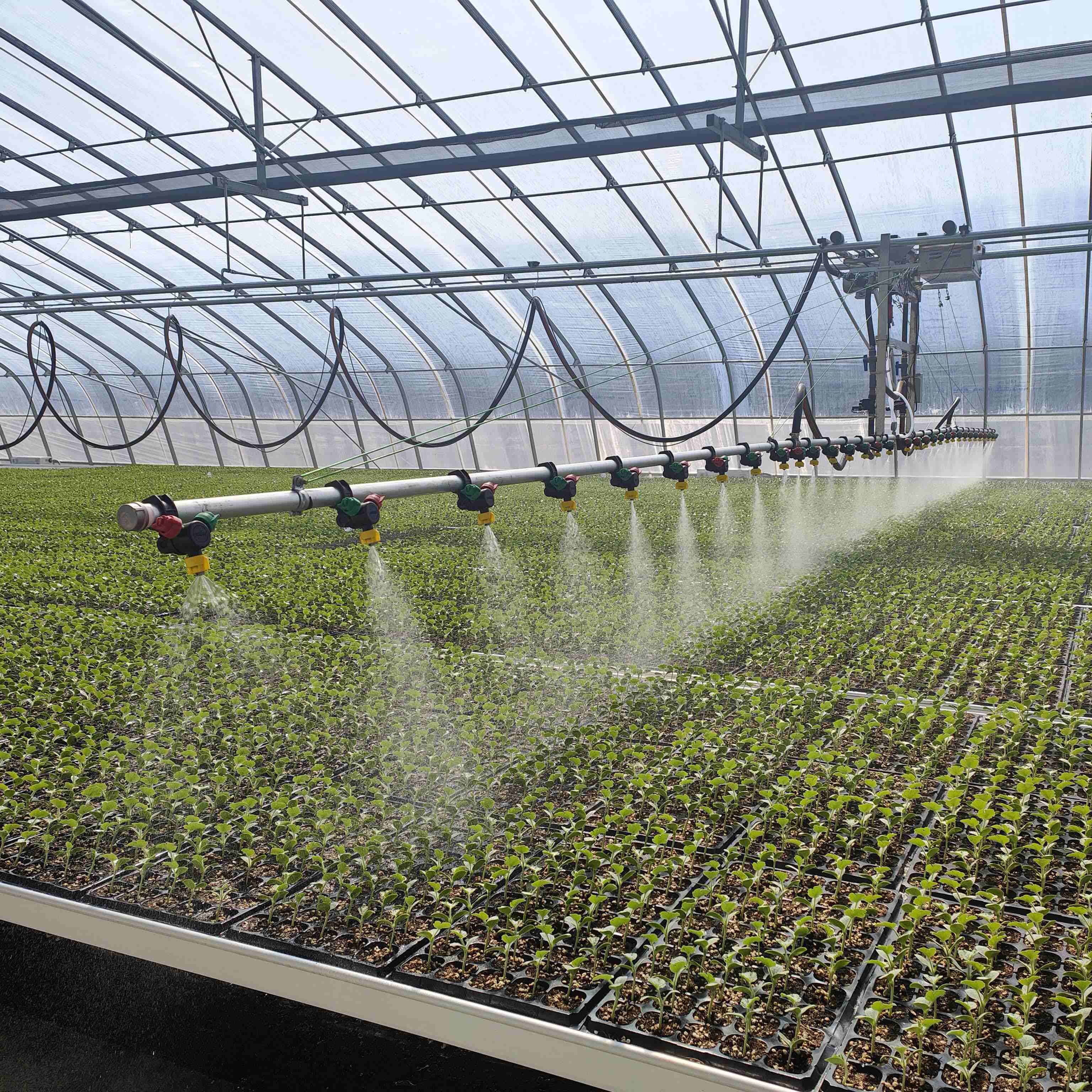 盐城滨海苗乐农业育苗园区