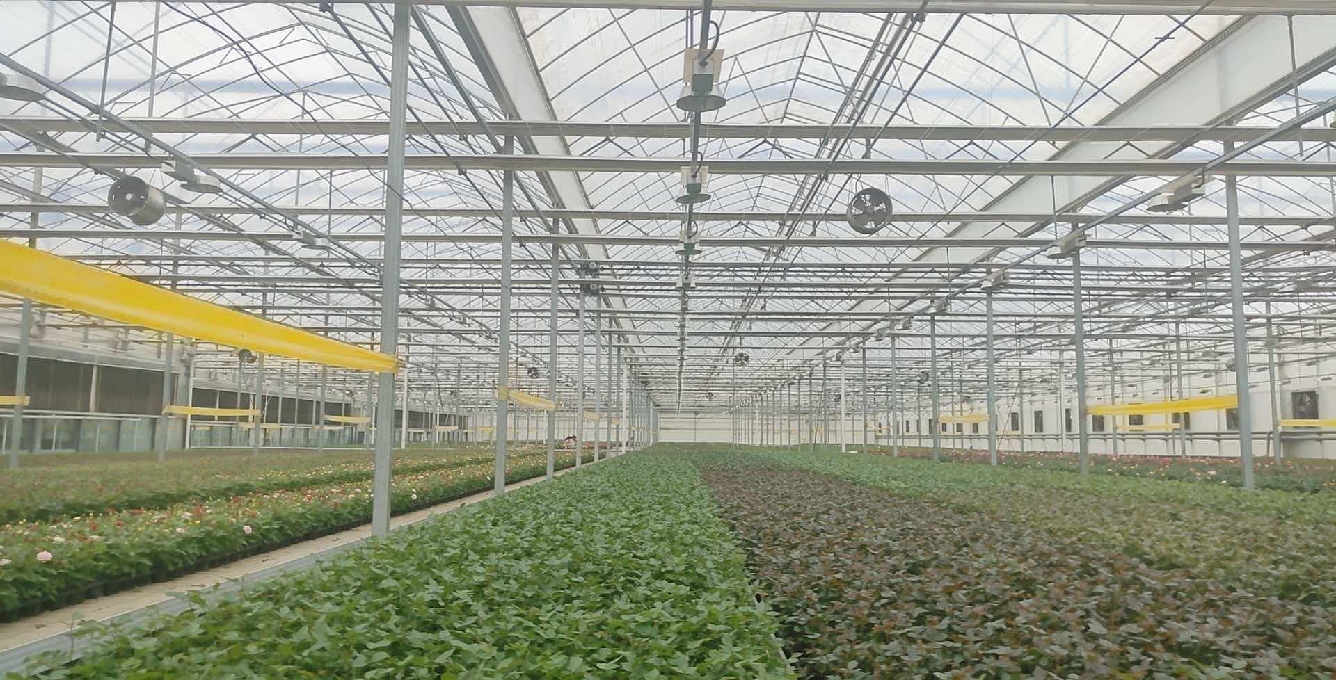 西藏林芝10.8万平藏药贝母种植园区