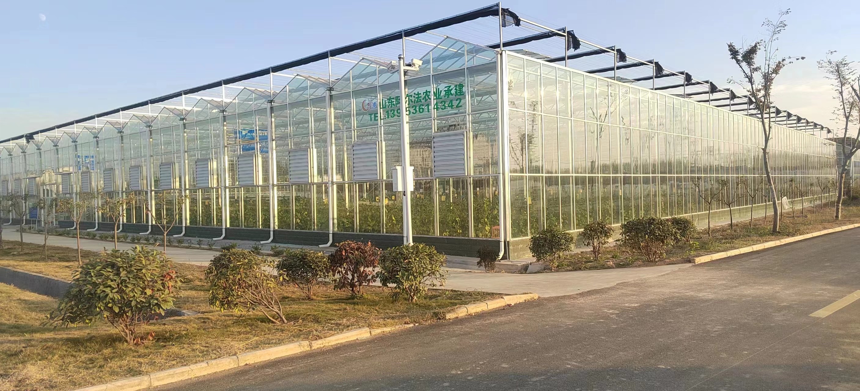 山东莱州日光温室