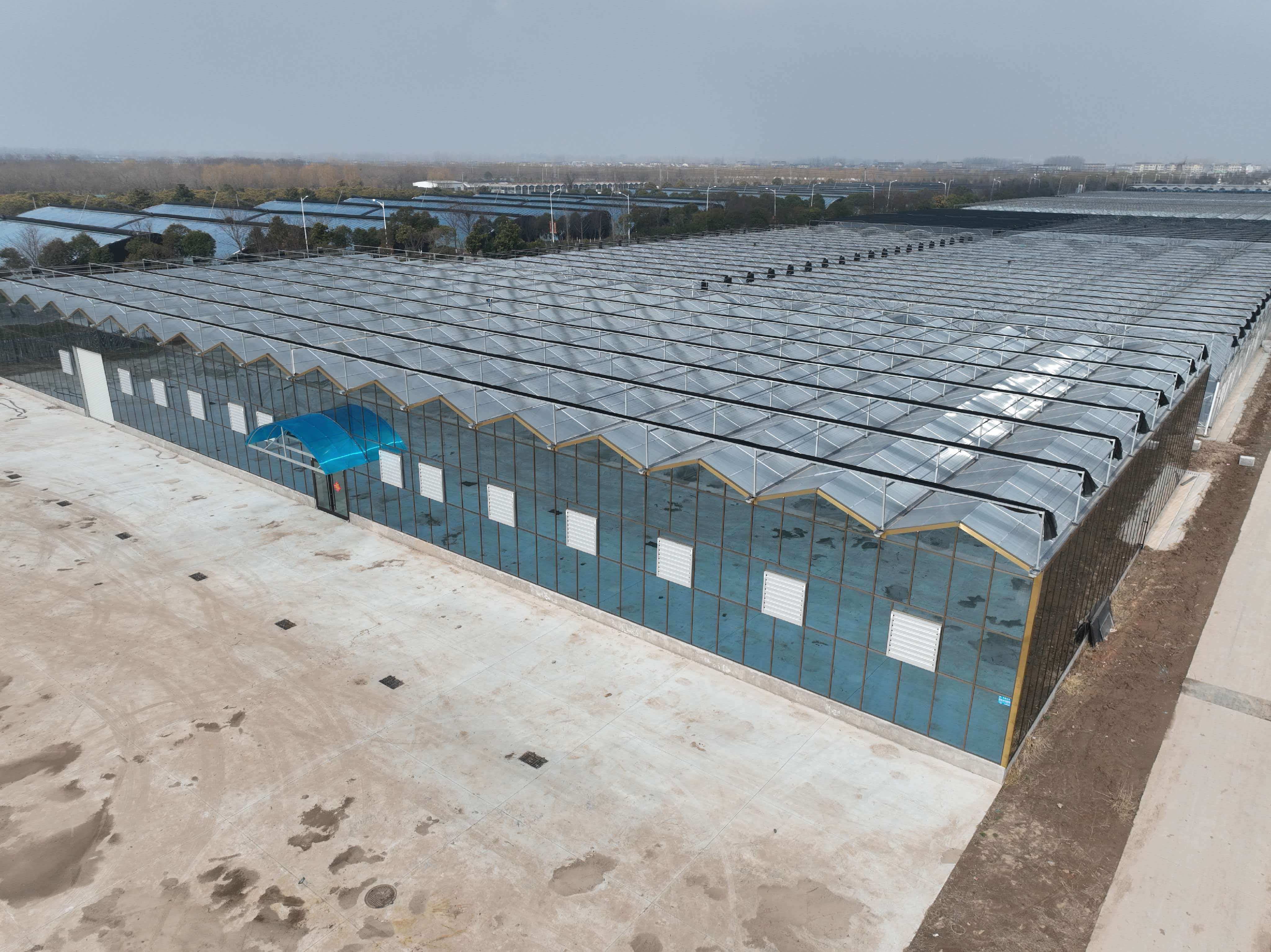 江西赣州连栋项目