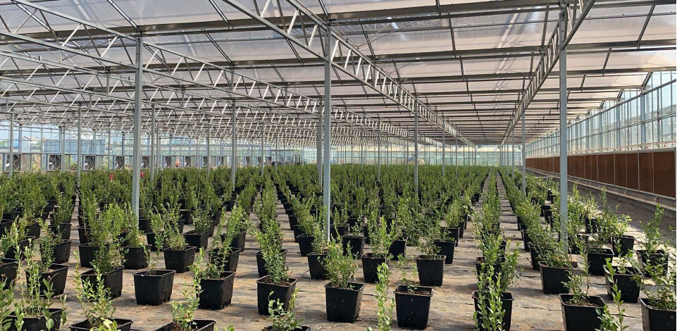 盐城滨海苗乐农业育苗园区三期