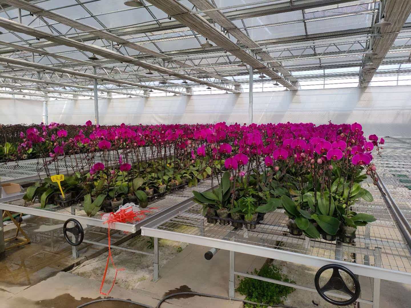 盐城滨海苗乐农业育苗园区四期