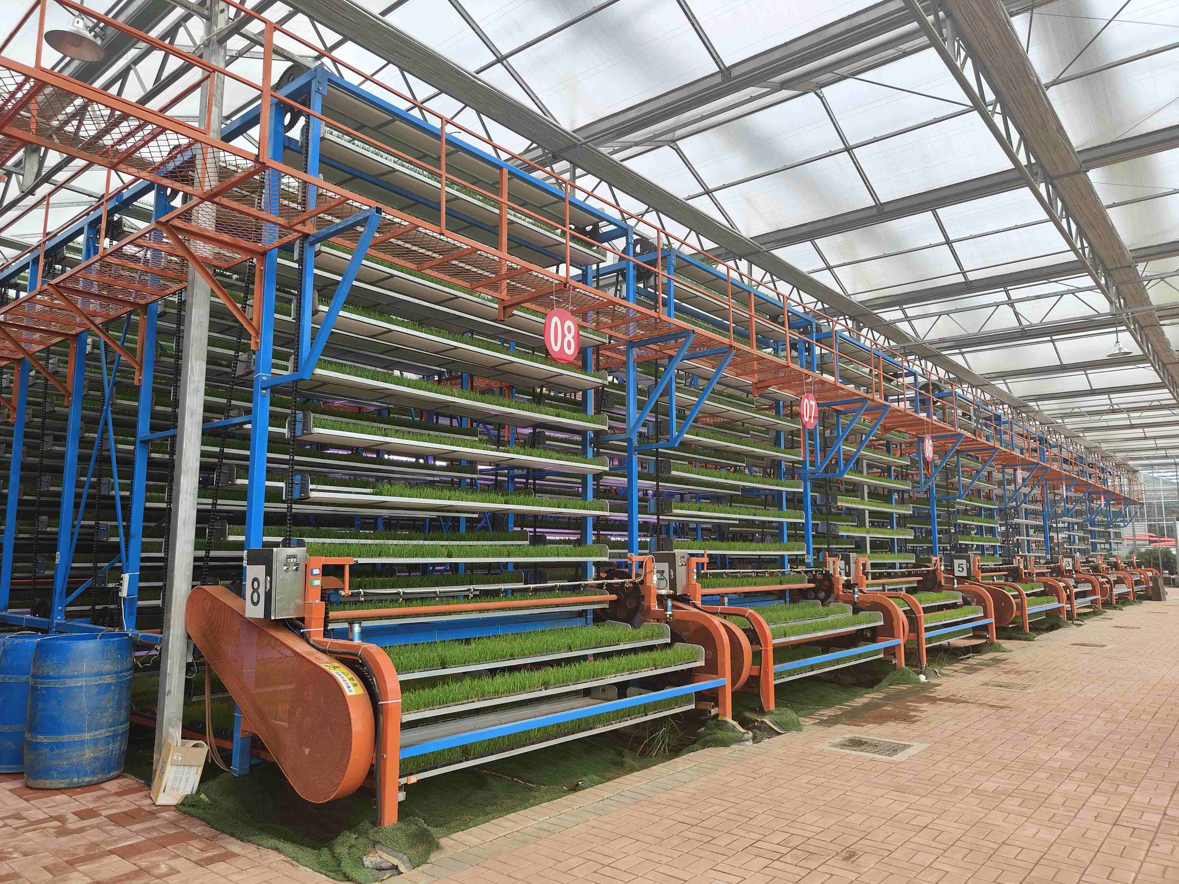 新疆多层育苗园区