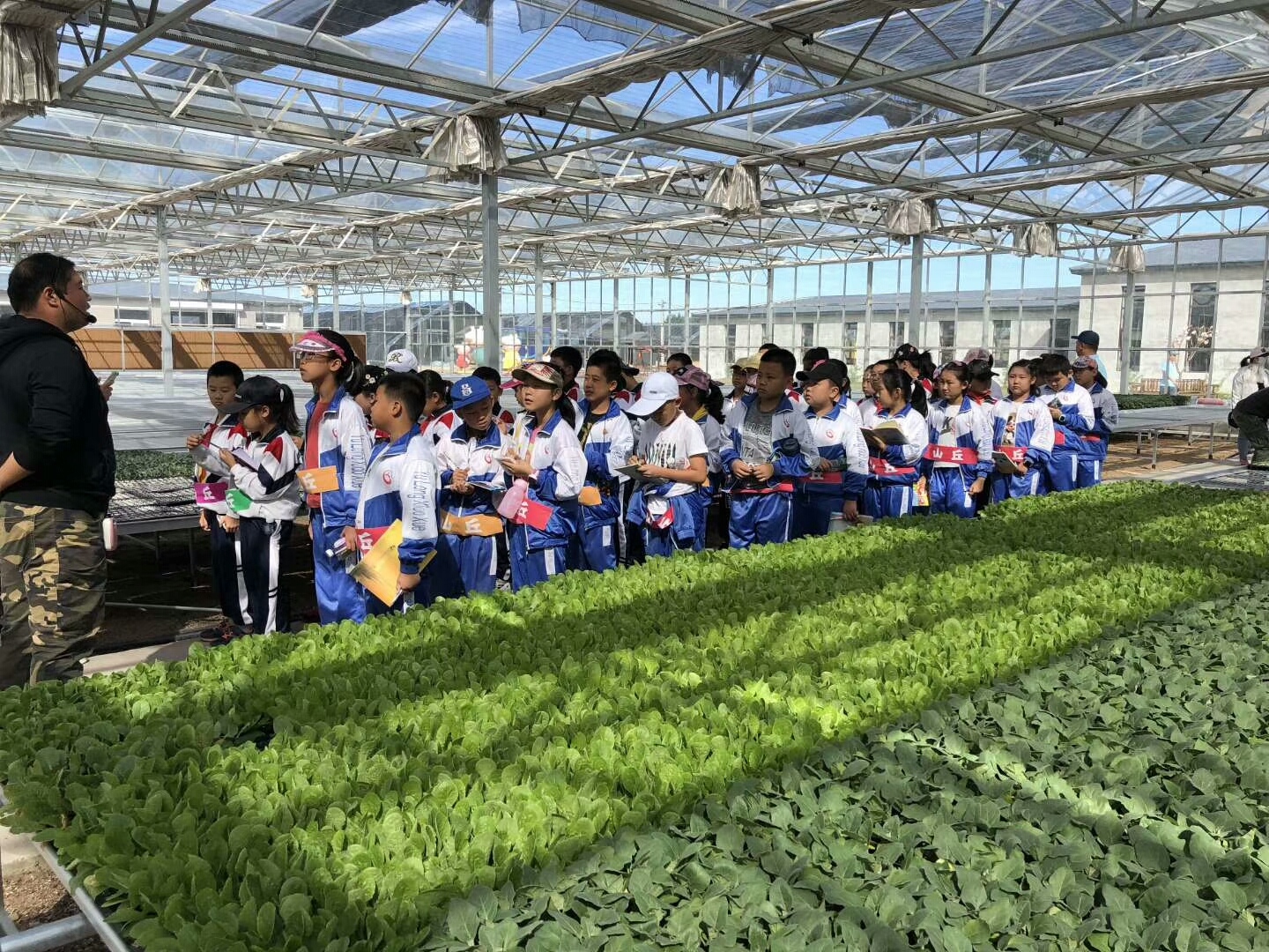 西藏山南标准园区无土栽培项目