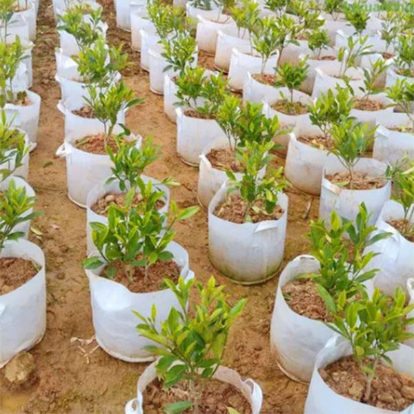 美植袋使用案例