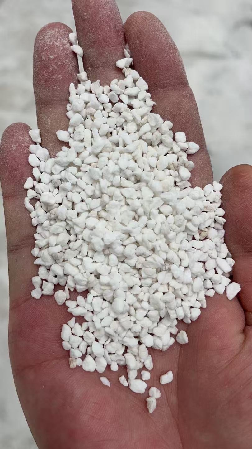 微信图片_20260203153010_41_1954