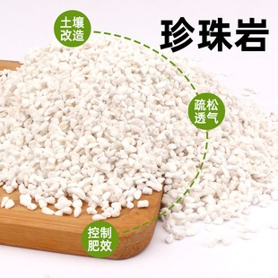 微信图片_20260422144151_5529_27