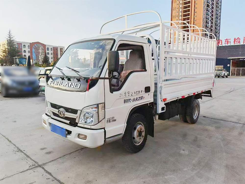 二手蓝牌仓栅货车