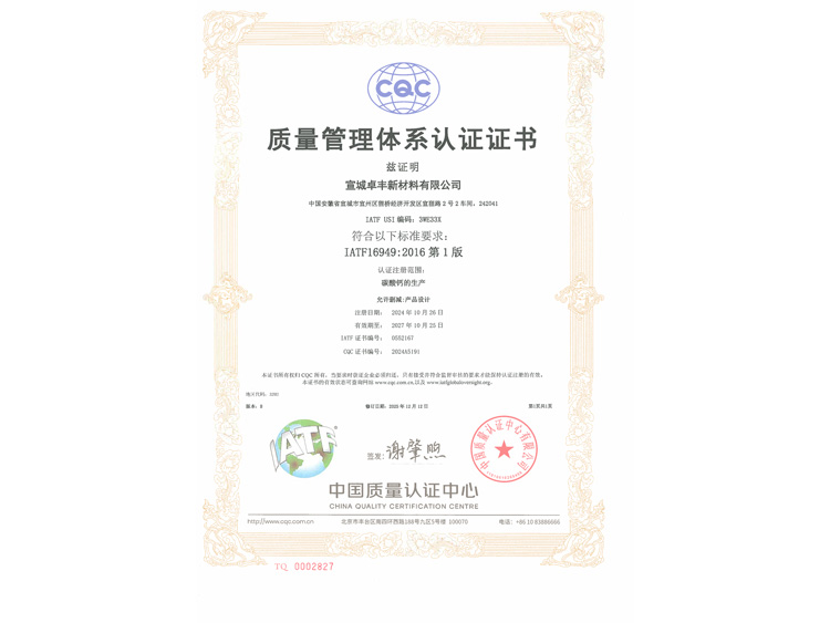 16949质量管理体系证书（20241026-20271025）中文版