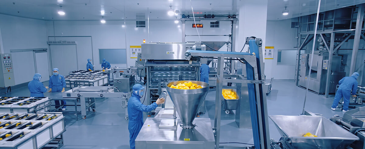 Top-10-Panko-Manufacturers-in-China