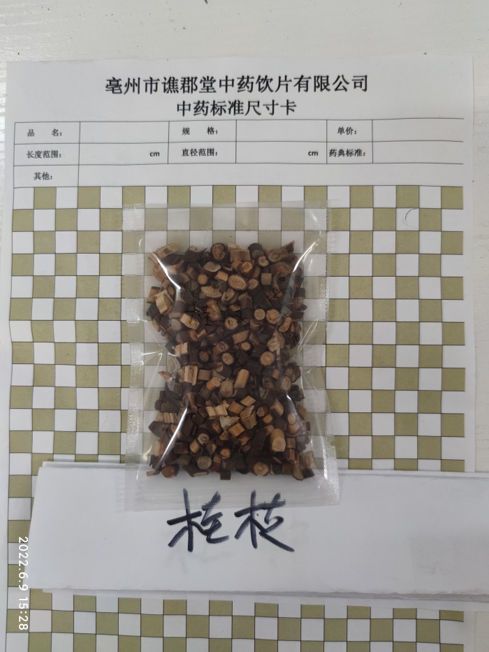 桂枝02