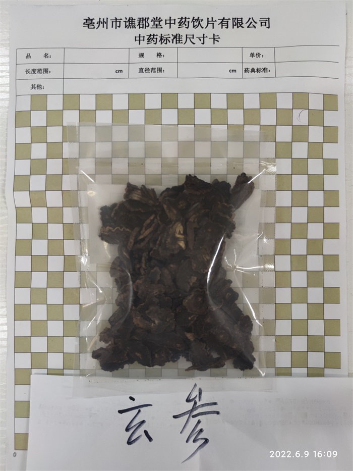 玄参02