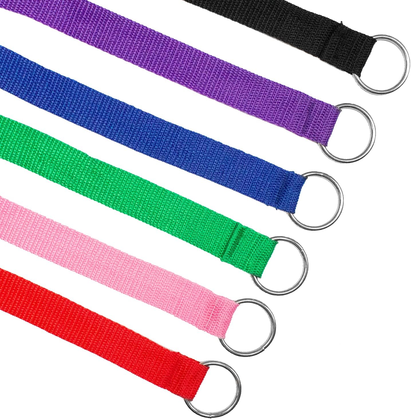 6ft Dog Kennel Slip Lead Leash for Dogs - Veterinarian, Grooming, Daycare & Animal Rescue Supplies - One Size Fits All - 1" Thick