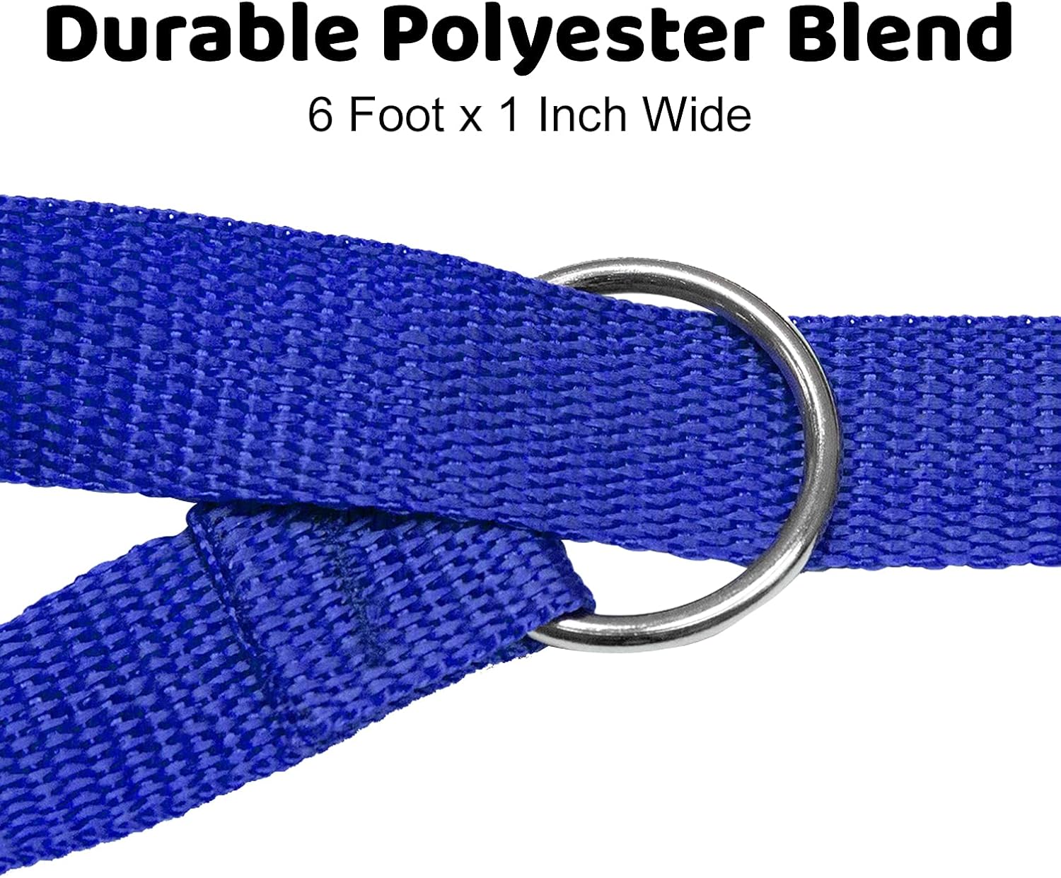6ft Dog Kennel Slip Lead Leash for Dogs - Veterinarian, Grooming, Daycare & Animal Rescue Supplies - One Size Fits All - 1" Thick
