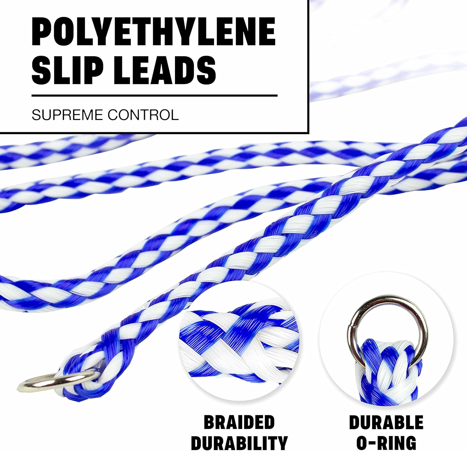 Braided Poly Slip Lead Dog Leash, 5' Long - Universal Dog Slip Leash with Metal O Ring - Great for Groomers, Shelters, Rescues, Vets, or Doggy Daycares