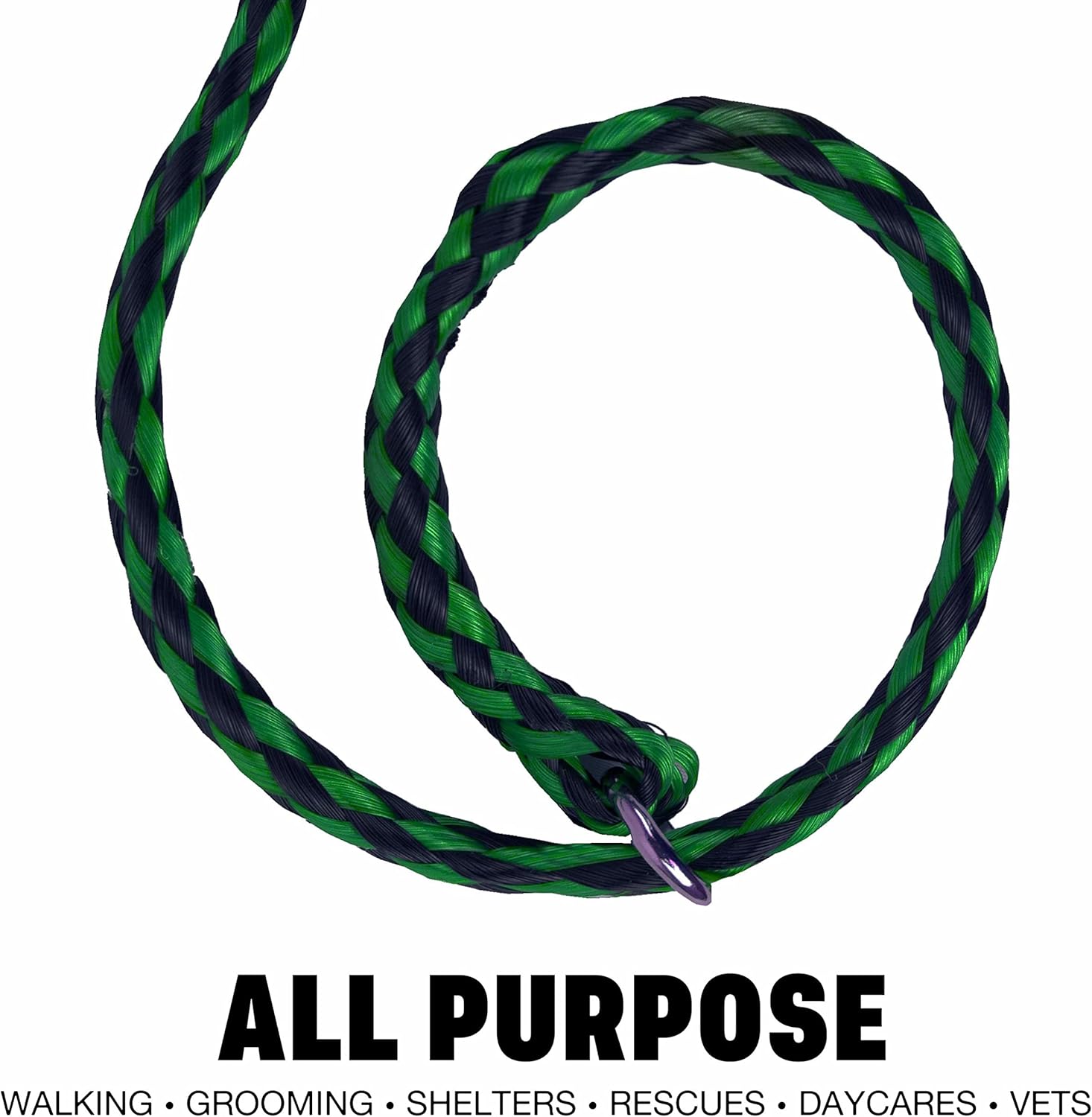Braided Poly Slip Lead Dog Leash, 5' Long - Universal Dog Slip Leash with Metal O Ring - Great for Groomers, Shelters, Rescues, Vets, or Doggy Daycares