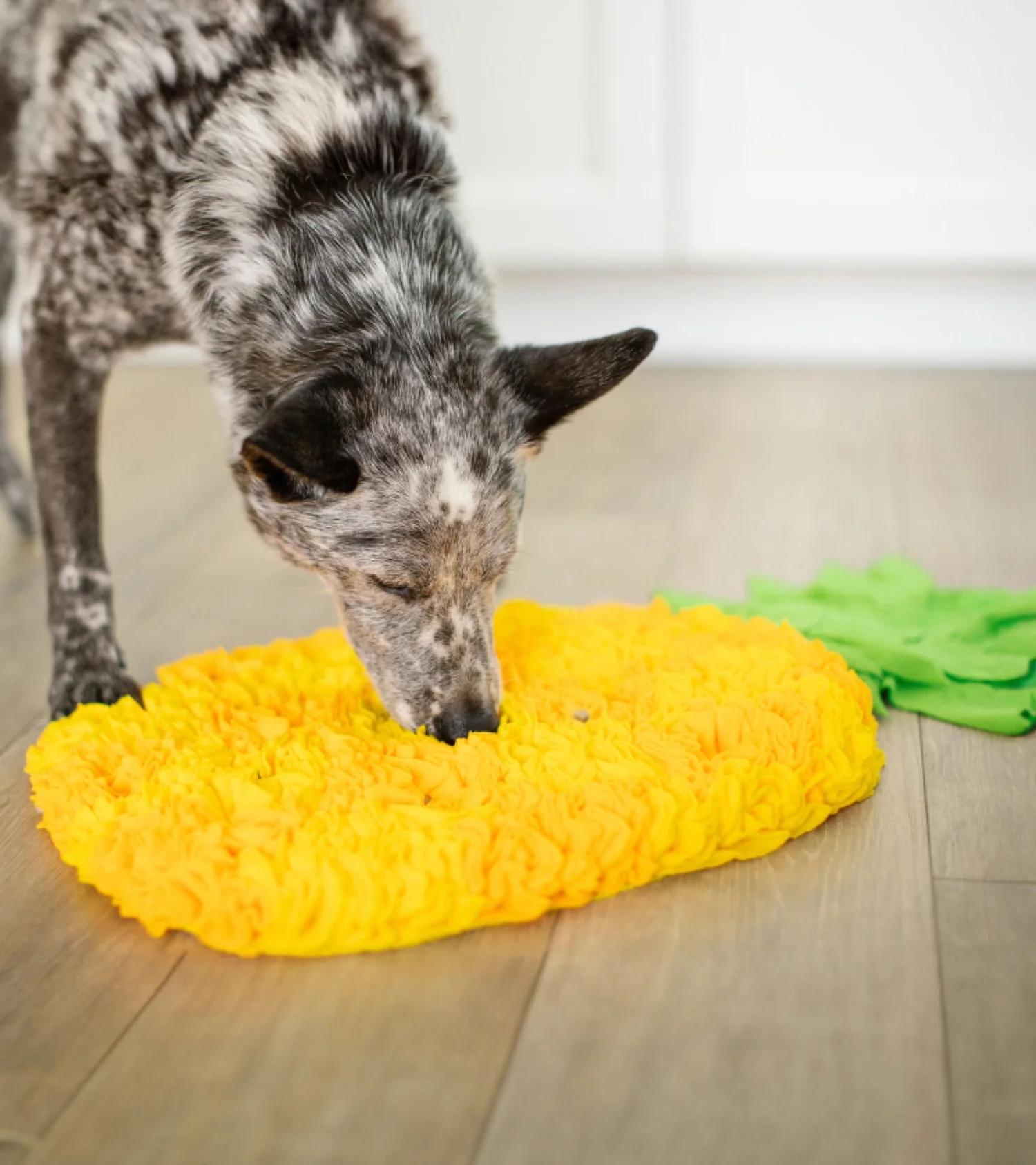 Enrichment Snuffle Mat for Dogs