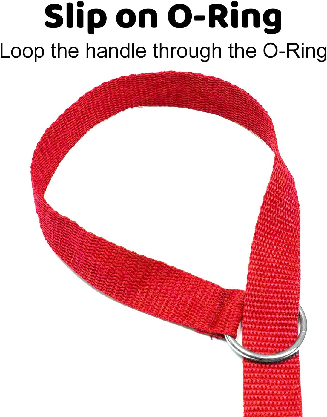 6ft Dog Kennel Slip Lead Leash for Dogs - Veterinarian, Grooming, Daycare & Animal Rescue Supplies - One Size Fits All - 1" Thick