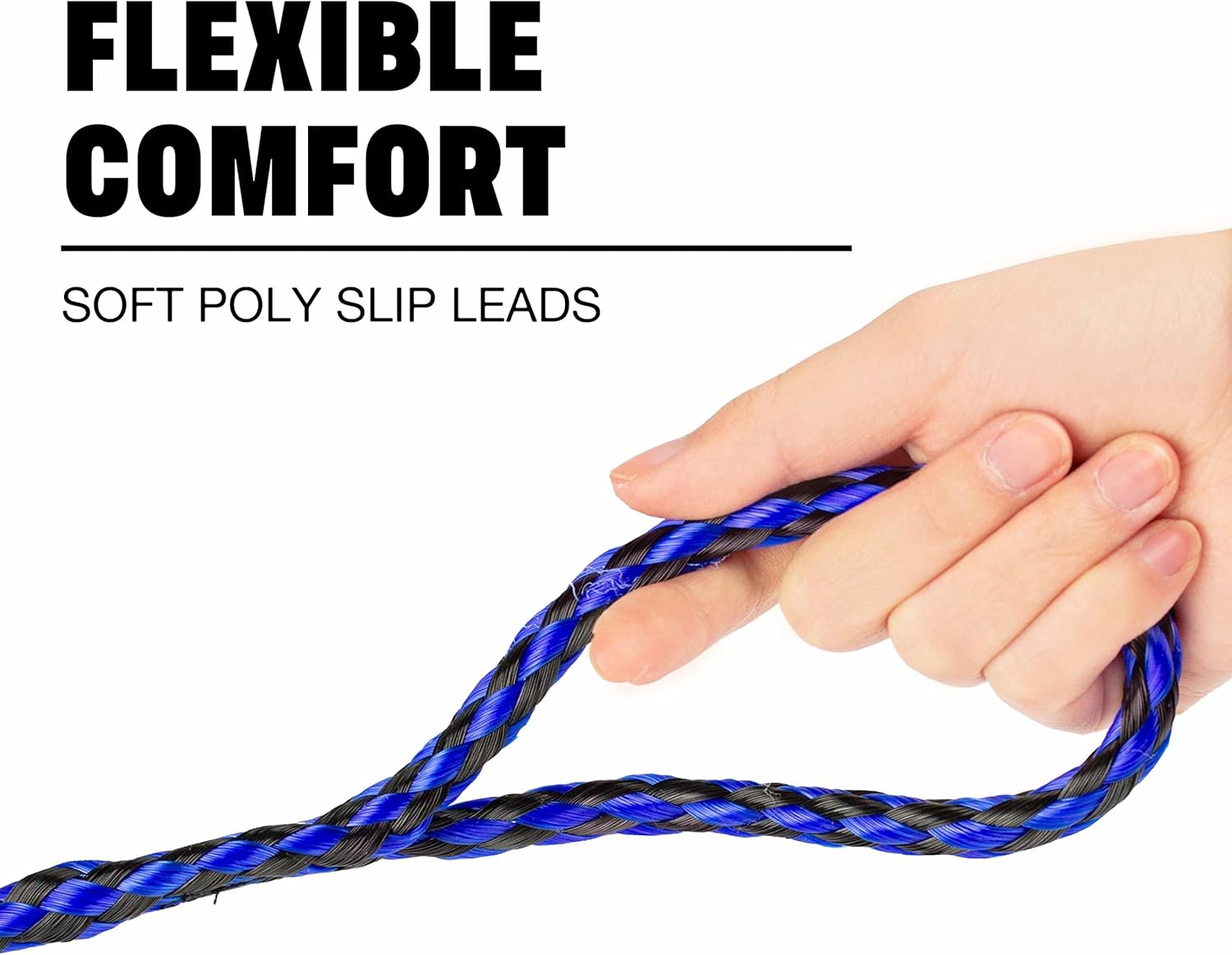 Braided Poly Slip Lead Dog Leash, 5' Long - Universal Dog Slip Leash with Metal O Ring - Great for Groomers, Shelters, Rescues, Vets, or Doggy Daycares