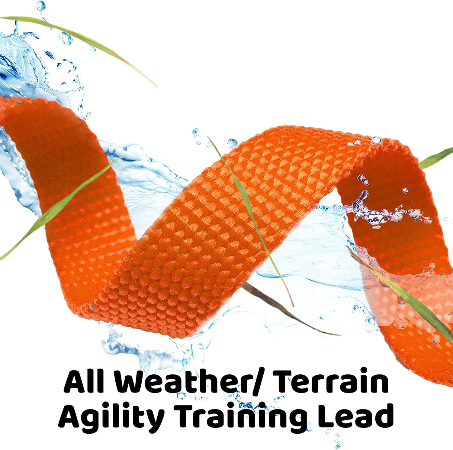 Training Dog Leash - Multi-Color Options