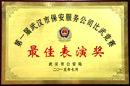 2015年最佳表演奖