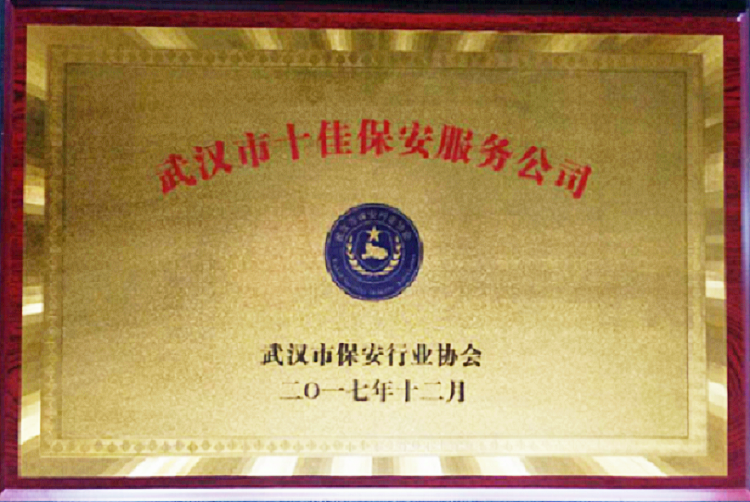 2017年武汉市十佳保安服务公司