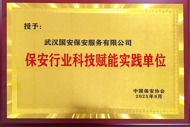 2025保安行业科技赋能实践单位