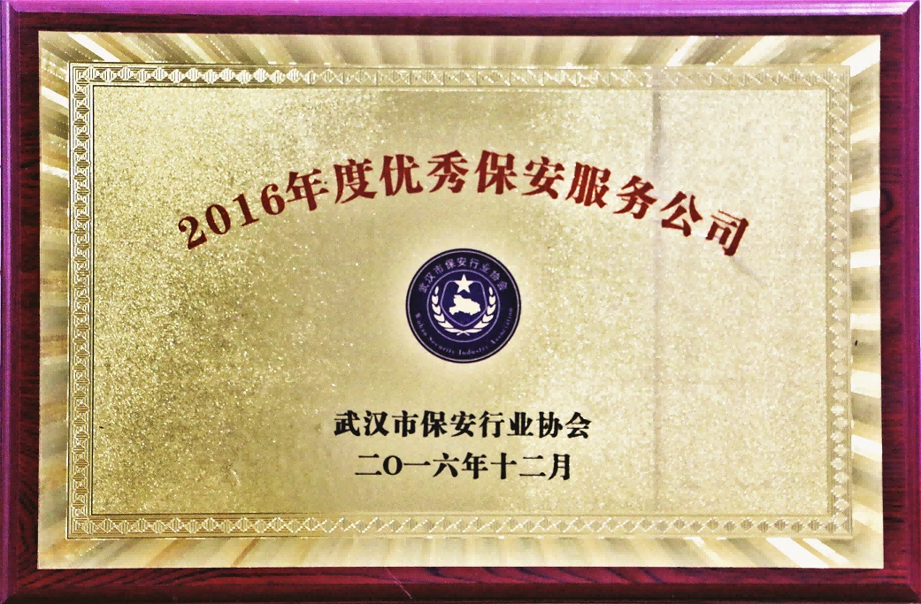 2016年度优秀保安服务公司