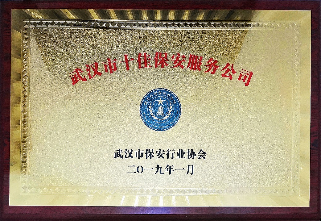 2019年武汉市十佳保安服务公司