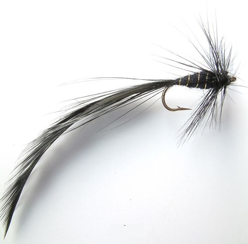 3201467166849841