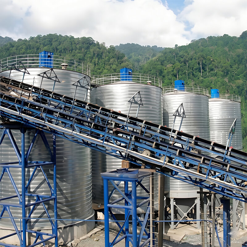 Belt Conveyors