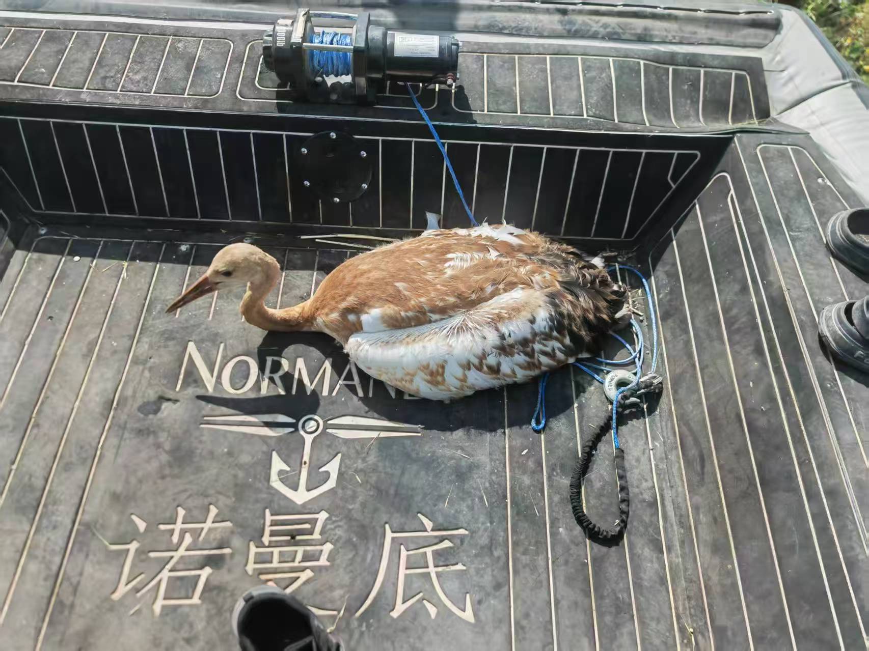 微信图片_20260811100927_532_5(1)