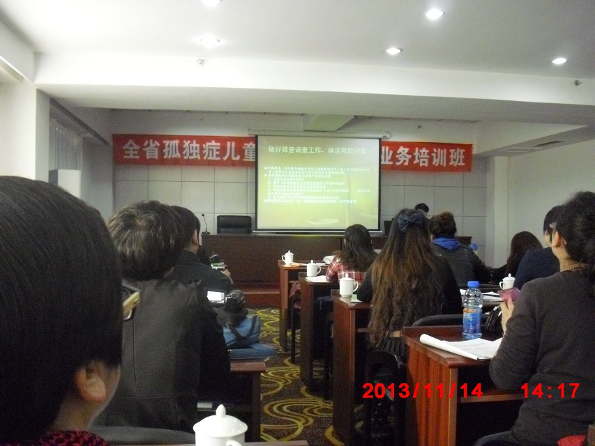 0ZK02433-1