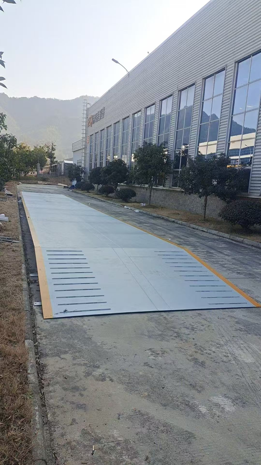 双胞胎地磅