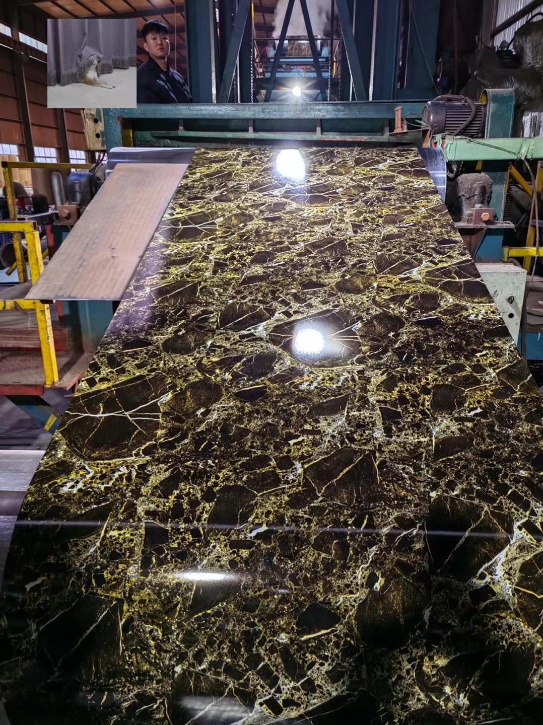 Printed color steel coil