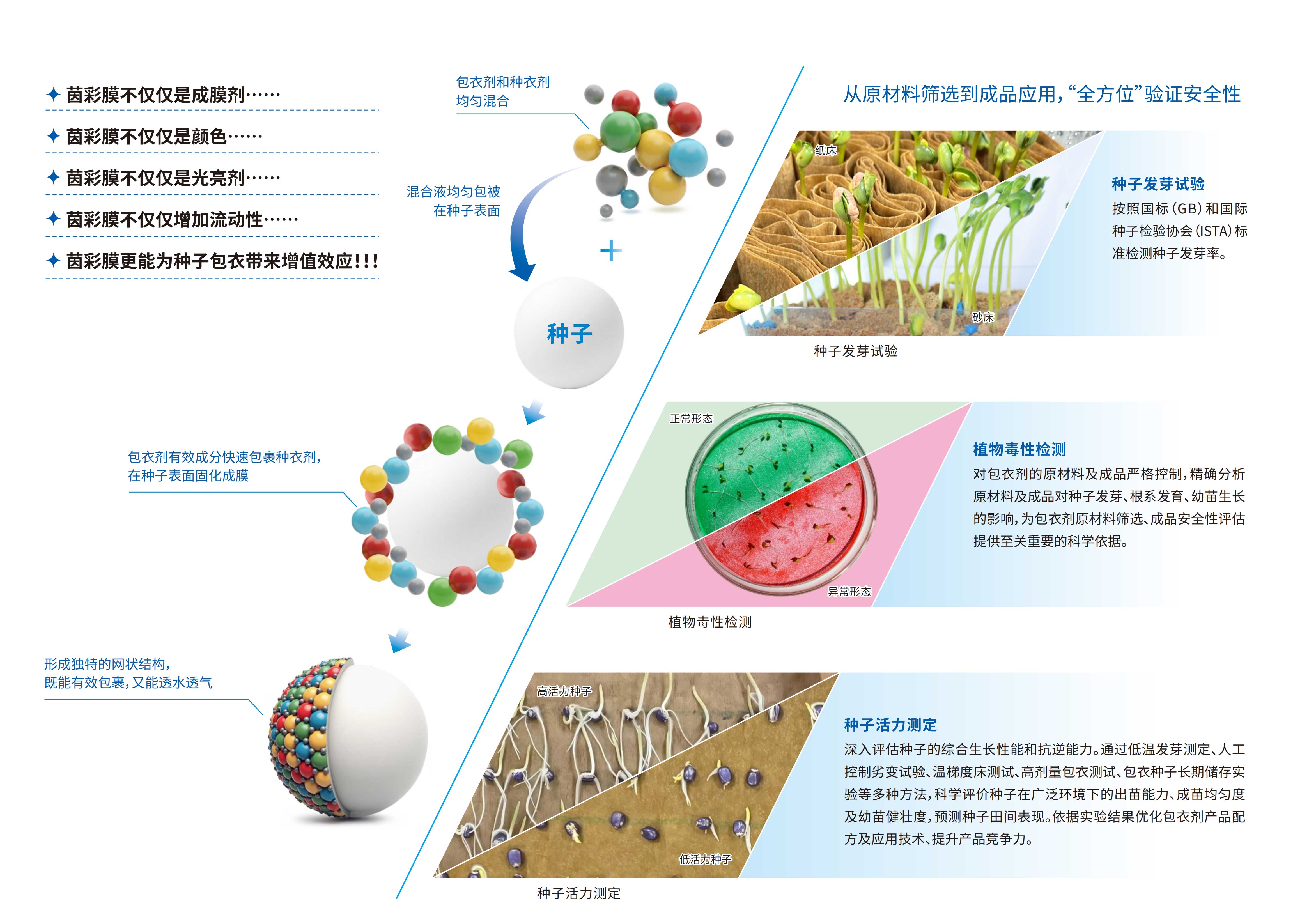种子包衣