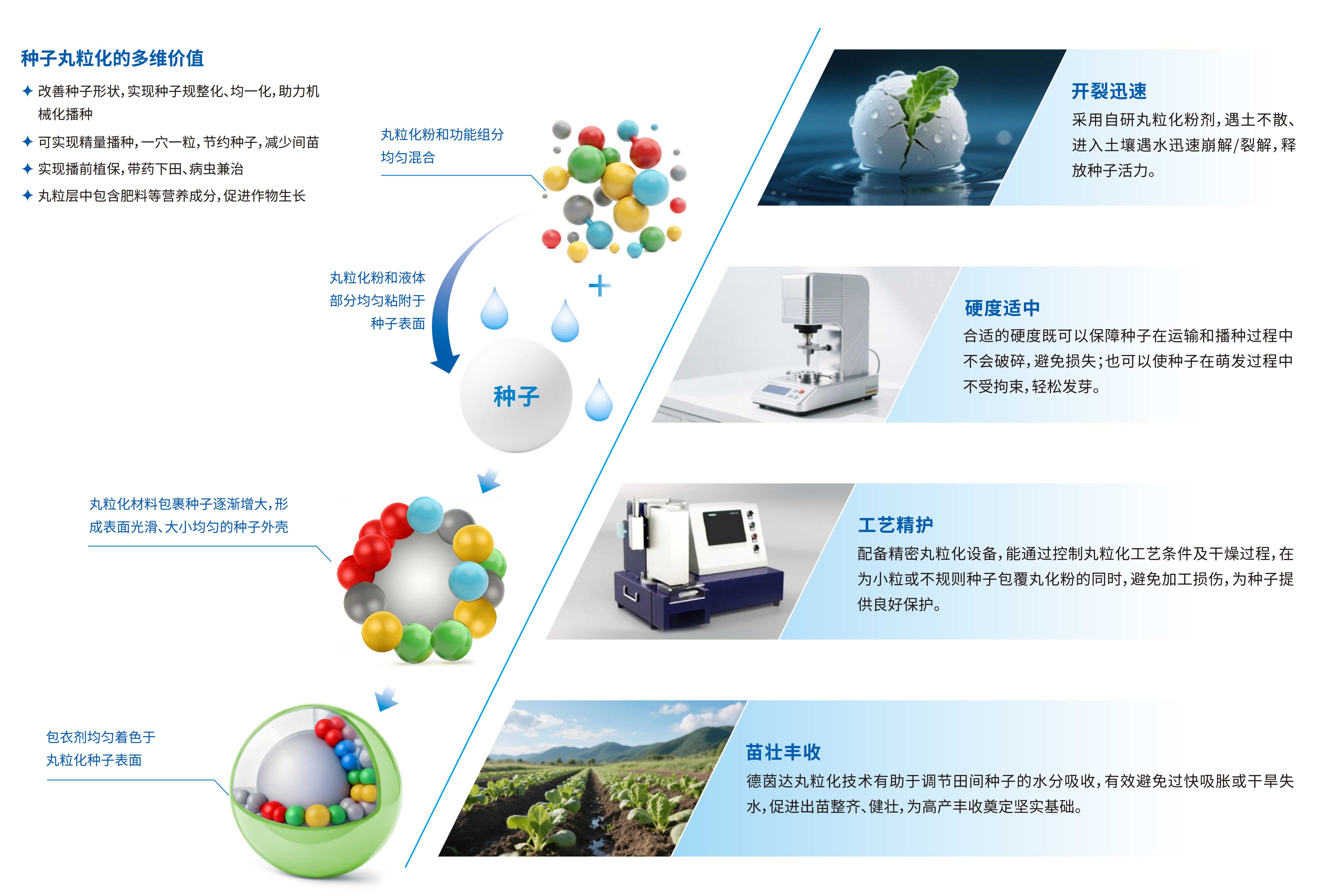 种子丸粒化