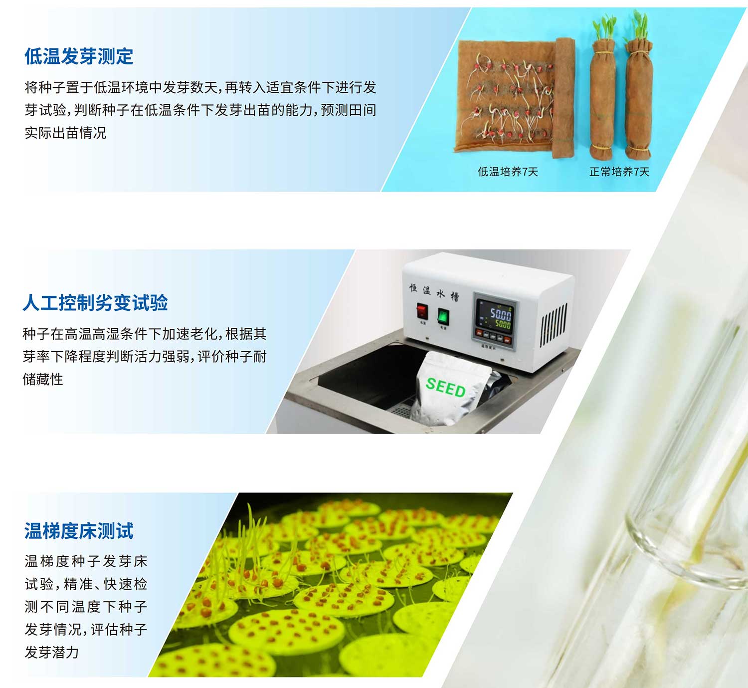 种子保护