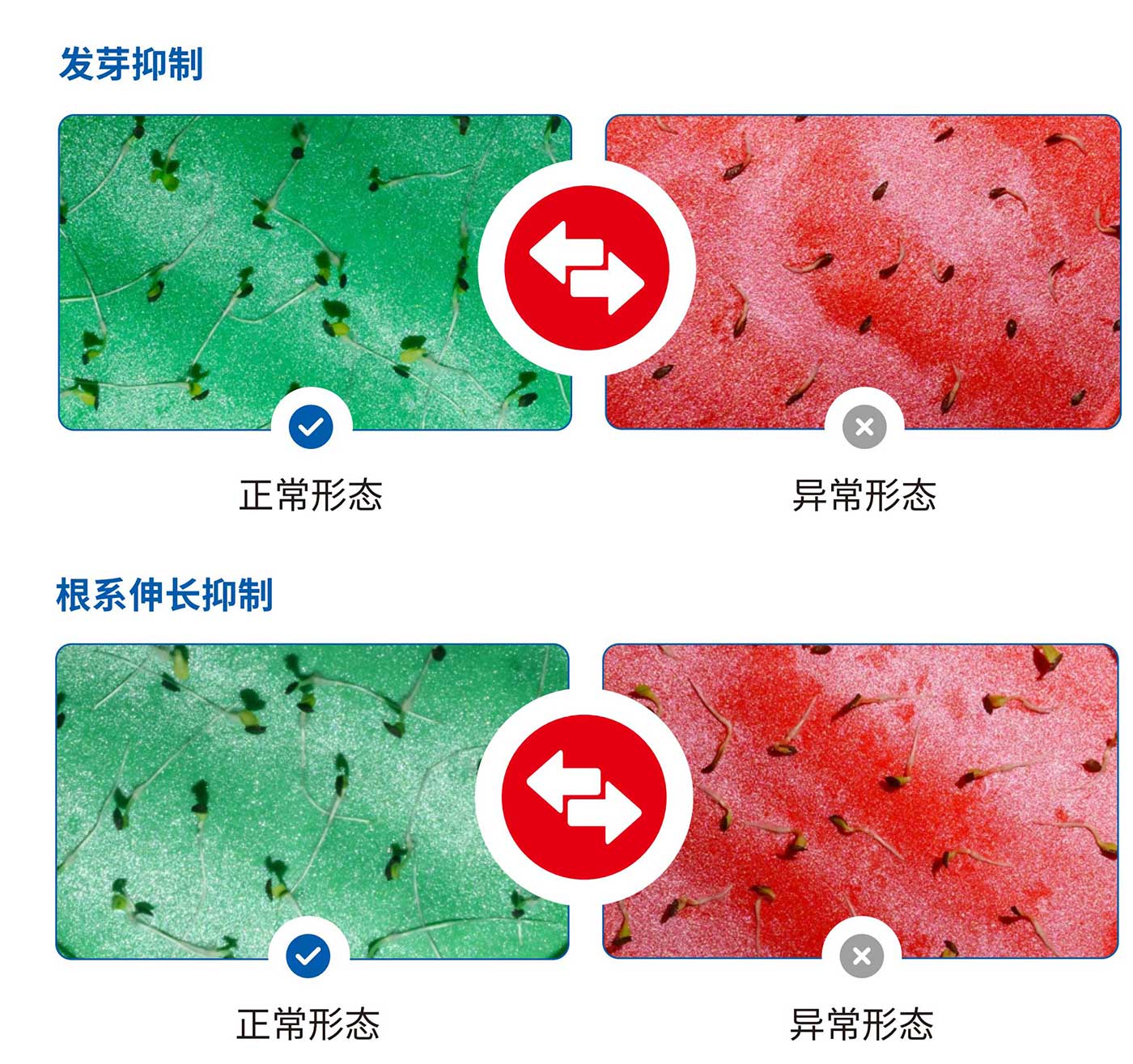 种子保护2