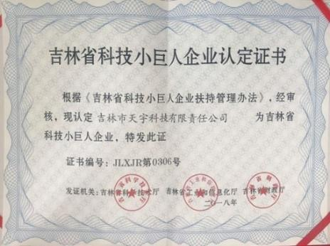 科技小巨人企业认定证书