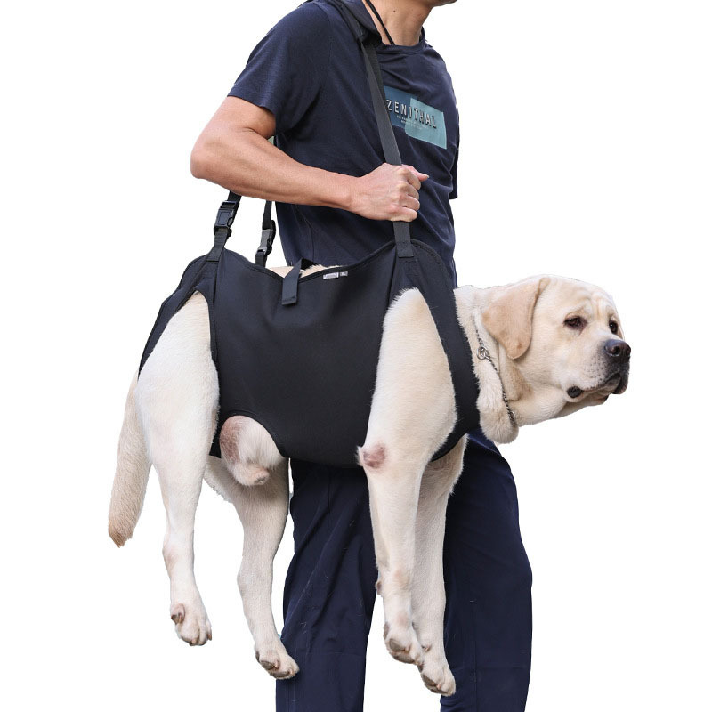 Lift Harness2