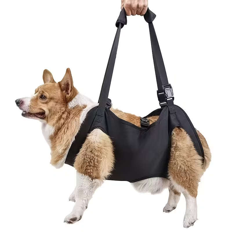 Lift Harness2