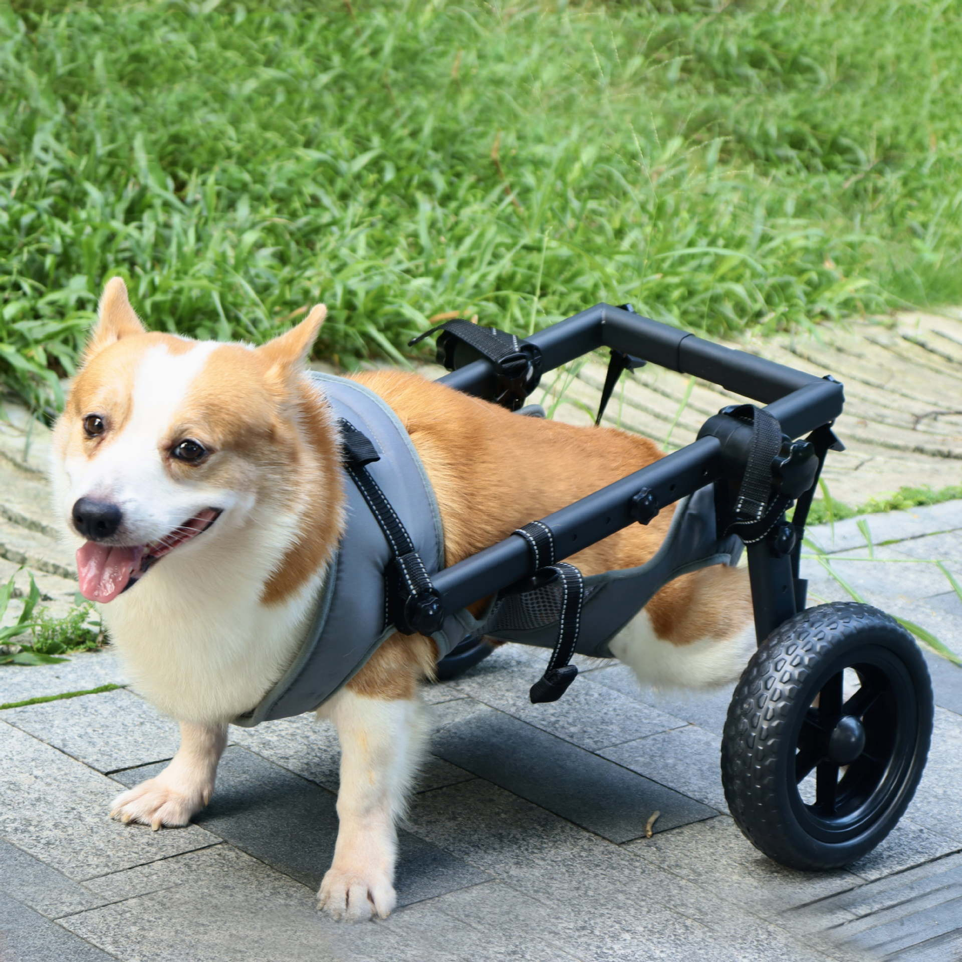 Pet Wheelchair Dog Leg Brace And Hip Support