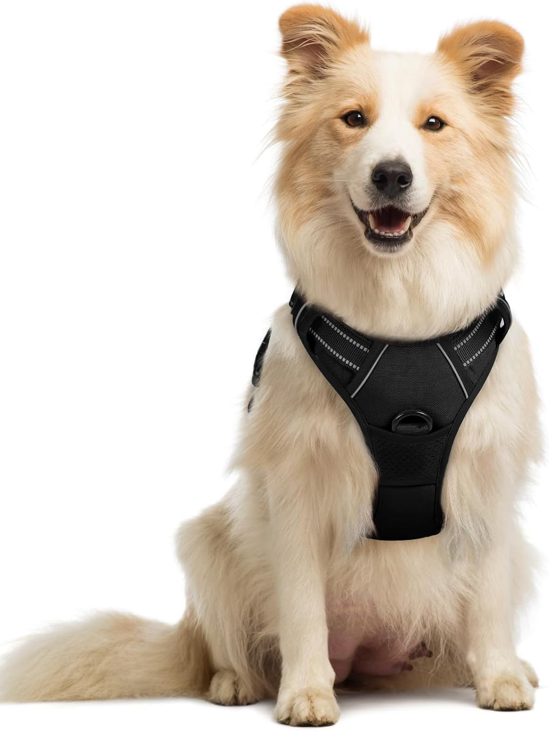 Dog Harness