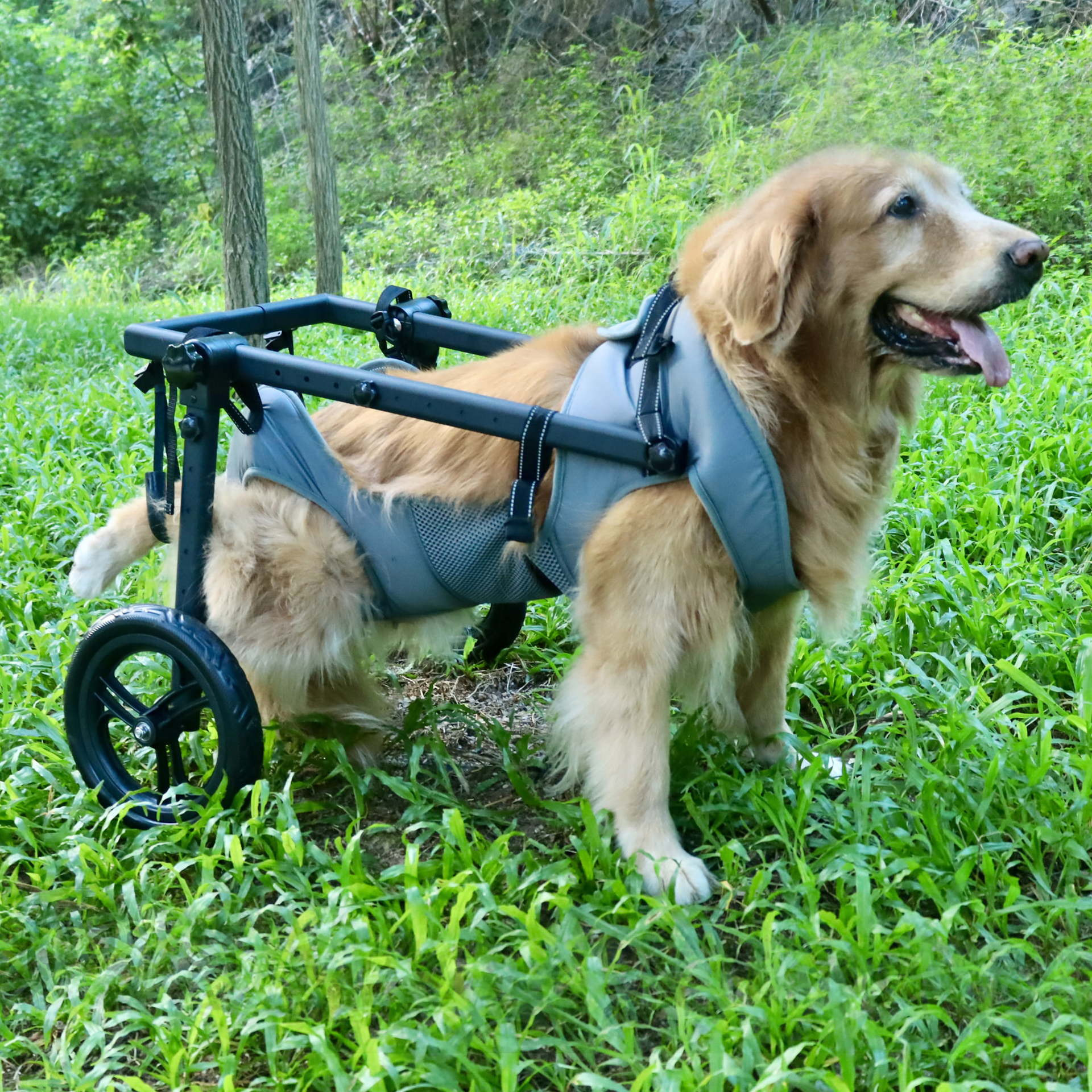 Pet Wheelchair Dog Leg Brace And Hip Support