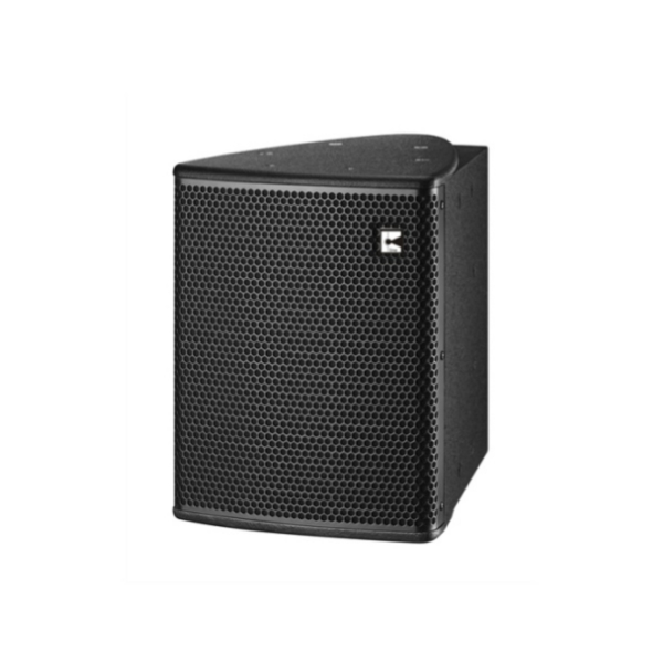 Y10 10-inch Professional Line-Source Speaker